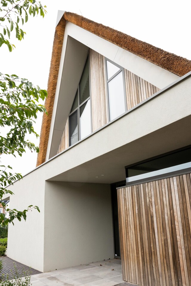 Waalvilla Heerjansdam Rieten dak